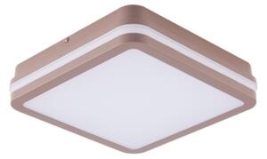 Brilagi -LED Външно таванно осветително тяло BENE LED/18W/230V 21,5x21,5 cm кафяво IP54