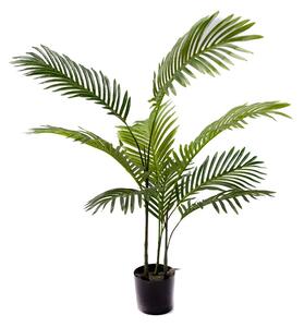 Декоративно градинско растение Areca Pako Pako World Black 80x80x8080 cm