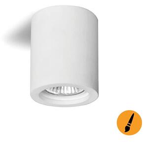 Таванна Точково осветително тяло PUTTO 1xGU10/35W/230V