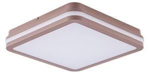 Brilagi -LED Външно таванно осветително тяло BENE LED/24W/230V 26x26 cm кафяво IP54