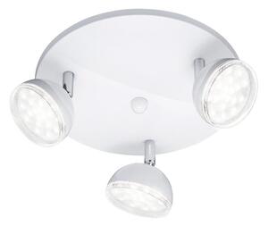Trio - LED Спот BOLOU 3xLED/3,8W/230V