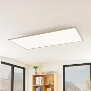 Lindby LED панел Stenley, 4000K, 120cm x 60cm, сребрист/бял, Бял, Кухня, Пластмаса, Модерен