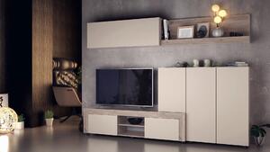 Секция Stela