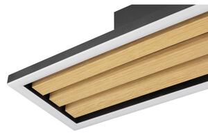 Brilliant - Димируемо LED таванно осветително тяло CALMA LED/15W/230V черно