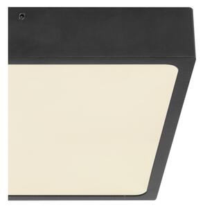 Globo 12369-22 - LED Лампа за таван ECHO LED/22W/230V
