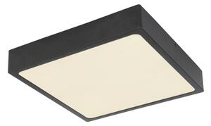 Globo 12369-22 - LED Лампа за таван ECHO LED/22W/230V