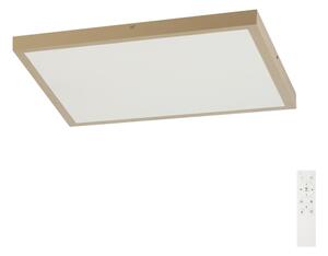 Brilagi - димируемо LED осветително тяло за баня FRAME SMART LED/50W/230V 60x60 IP44 + дистанционно управление