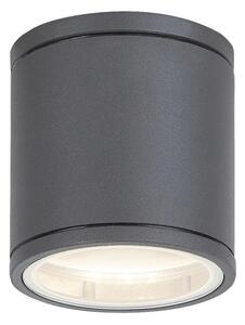 Rabalux 8150 - Екстериорна Лампа за таван AKRON 1xGU10/35W/230V IP54