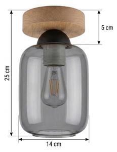 BRILAGI - LED таванно осветително тяло R GLASS 1xE27/60W/230V Ø 14 см дъб/димно сиво