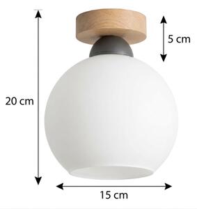 BRILAGI - LED таванно осветително тяло RETRO GLASS 1xE27/60W/230V Ø 15 cm дъб/бяло