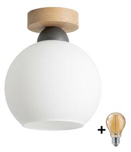 BRILAGI - LED таванно осветително тяло RETRO GLASS 1xE27/60W/230V Ø 15 cm дъб/бяло