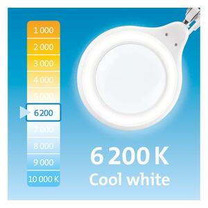 Extol - Димируема LED настолна лампа с лупа LED/10W/230V бяла