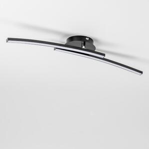 LED таванно осветително тяло 2xLED/6W/230V черно