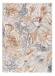 Килим 80x150 cm Amara – Universal