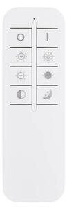 Globo 67387-60D - LED димируемо таванно осветително тяло LAUREL LED/60W/230V прозрачно+ДУ