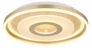 Globo 48571-40 - LED таванен плафон CARDENAS LED/40W/230V 3000K Ø 50 см
