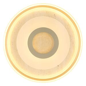 Globo 48571-40 - LED таванен плафон CARDENAS LED/40W/230V 3000K Ø 50 см