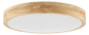 Brilliant - LED таванно осветително тяло за баня MOREEN LED/18W/230V Ø 34 см IP44