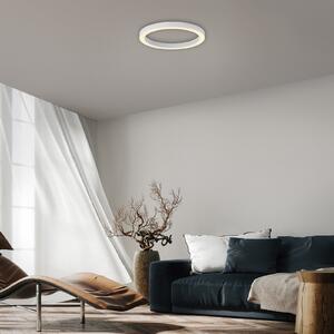 PURE LED таванска лампа Lines, Ø 50 cm, бяла CCT, дистанционно управление, Затъмняване, Бял, Дневна/трапезария, Метал, Модерен