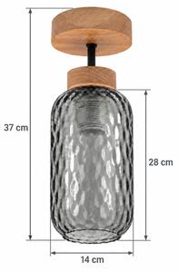 BRILAGI - LED повърхностно монтиран полилей R GLASS 1xE27/60W/230V Ø 14 см дъб/димно сиво