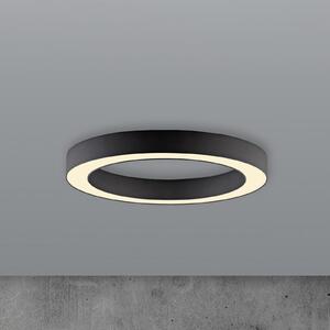 PURE LED таванска лампа Lines, Ø 35 cm, графит, CCT, дистанционно управление, Затъмняване, Черен, Дневна/трапезария, Метал, Модерен