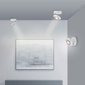 PURE LED таванска лампа Oculis, бяла, Ø 15 cm, желязо/стъкло, Затъмняване, Бял, Дневна/трапезария, Метал, Модерен