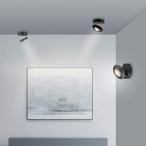 PURE LED таванска лампа Oculis, черна, Ø 15 cm, желязо/стъкло, Затъмняване, Черен, Дневна/трапезария, Метал, Модерен