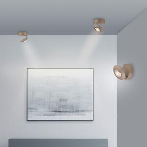 PURE LED плафон Oculis бронзов цвят, Ø 15 cm желязо/стъкло, Затъмняване, Бронзов / античен месинг, Дневна/трапезария, Метал, Модерен