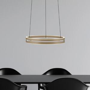 PURE LED висяща лампа E-Loop, бронз, Ø 50 cm, алуминий CCT, Затъмняване, Бронзов / античен месинг, Дневна/трапезария, Метал, Модерен
