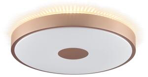 Brilliant - LED таванно осветително тяло TAVIS LED/24W/230V Ø 44,5 cm розово злато