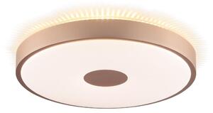 Brilliant - LED таванно осветително тяло TAVIS LED/24W/230V Ø 44,5 cm розово злато