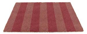 Изтривалка от кокосови влакна 40x60 cm Pink Stripe – Artsy Doormats