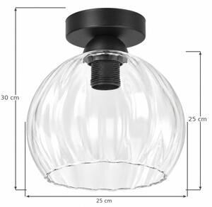 BRILAGI - LED плафон RETRO GLASS 1xE27/60W/230V Ø 25 см черен/прозрачен