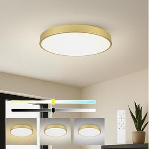 Brilagi - димируемо LED осветително тяло POOL SMART LED/100W/230V 80 см златно Wi-Fi Tuya+дистанционно