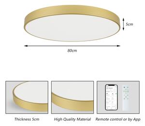 Brilagi - димируемо LED осветително тяло POOL SMART LED/100W/230V 80 см златно Wi-Fi Tuya+дистанционно