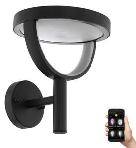 Eglo 98234 - LED външен стенен аплик FRANCARI-C LED/15W/230V IP44