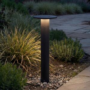 Arcchio LED осветление за пътеки Tovio, височина 65 cm, антрацит, Черен, Алуминий, Модерен
