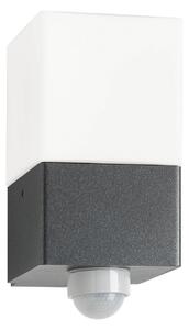 LCD Външна лампа Linus, графит, сензор, неръждаема стомана, стъкло, E27, Черен, Неръждаема стомана, Модерен
