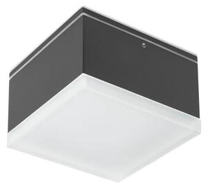 Redo 90109 - Външно LED осветление за таван AKRON 1xLED/9W/230V IP54