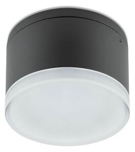 Redo 90107 - Външно LED осветление за таван AKRON 1xLED/9W/230V IP54