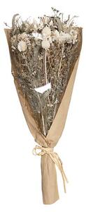 Букет от сухи естествени растения atmosphera, 48 cm - Евкалипт
