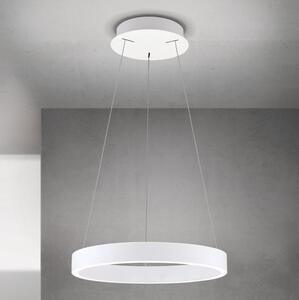 Orion - LED димируема висяща лампа на кабел KOLK LED/40W/230V 2700/3000/4000K pr. 40 cm бяла