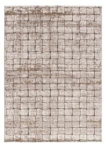 Сиво-бежов килим 80x120 cm Ceres – Universal