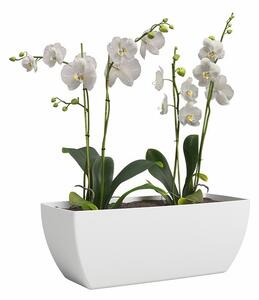 Саксия за цветя от рециклирана пластмаса 30 cm Siena – Artevasi