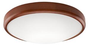 LED таванно осветително тяло 1xLED/24W/230V