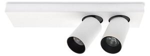 LED Таванна Точково осветително тяло BERGEN 2xLED/11W/230V