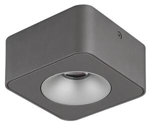 Globo 43100-1 - LED Плафониера HANGARAU LED/6,5W/230V 11,7x11,7 см