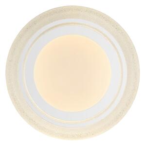 Globo 483111-40 - LED таванно осветително тяло RADA LED/40W/230V пр. 49 см