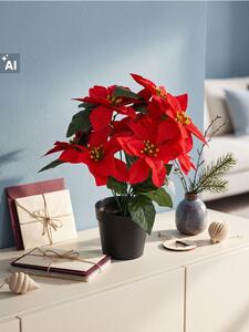 Sinsay - DECORATIVE PLANT - многоцветен