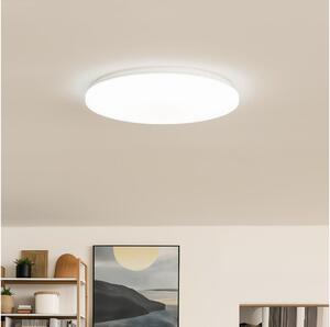 Brilagi - LED таванно осветително тяло OPAL LED/24W/230V